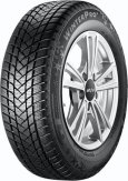 Pneu GT Radial WINTER PRO 2 195/55 R16 TL M+S 3PMSF XL 91H Zimní
