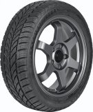 Pneu Maxxis ARCTICTREKKER WP05 155/80 R13 TL XL M+S 3PMSF 83T Zimní