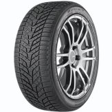 Pneu Yokohama BLUEARTH WINTER V905 275/40 R19 TL XL M+S 3PMSF RPB 105W Zimní
