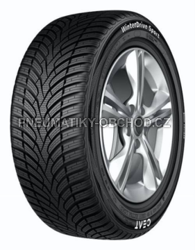 Pneu Ceat WINTERDRIVE SPORT 255/45 R20 TL XL M+S 3PMSF 105W Zimní