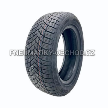 Pneu Otani WE1000 195/55 R16 TL XL M+S 3PMSF 91H Zimní